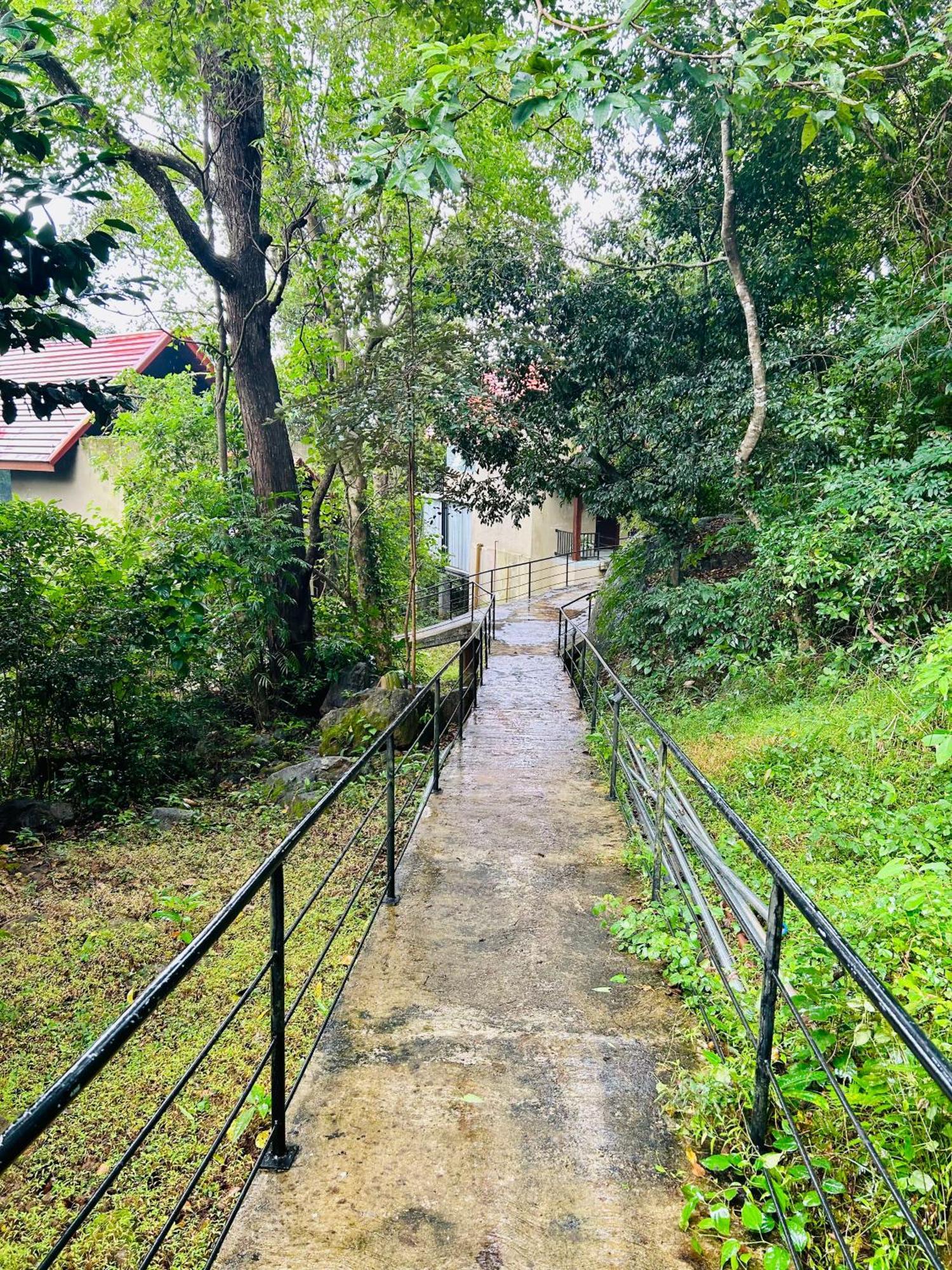 Arangala Forest Lodge Naula Exterior photo
